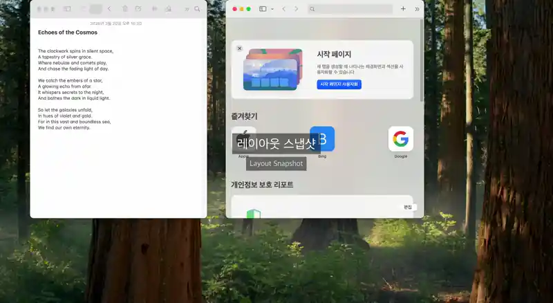 Layout snapshot demo