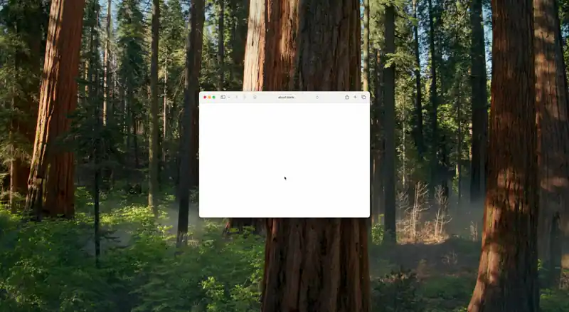 Corral window history showing undo and redo controls