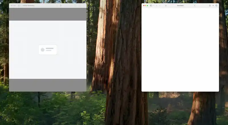 Corral saving a multi-window layout snapshot