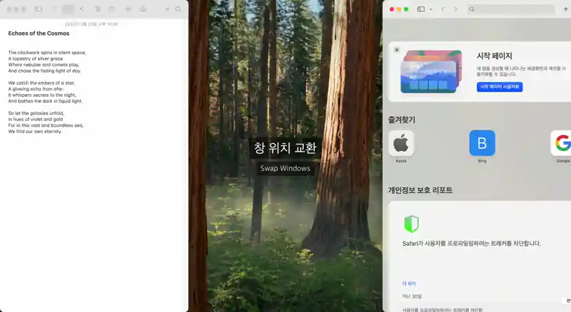 Window swap demo